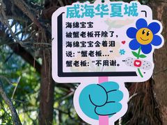 -威海华夏城景区