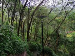 -重庆彩云湖湿地公园
