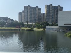 -洋湖国家湿地公园