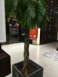-Tmix 潮牌美发造型