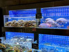 景观位-徐记海鲜(汉城湖|太奥店)