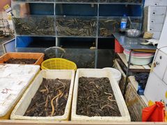 -岳各庄批发市场(西四环中路店)