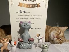 -子乐宠物医院