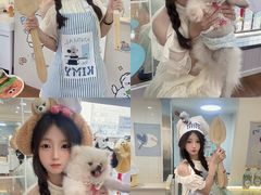 -汪说·狗咖·拼豆·宠物周边DIY(旺城大厦店)