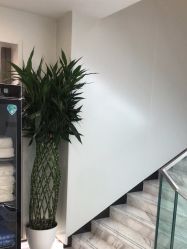 -悟空祛痘·诺奖技术专业店