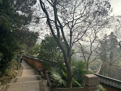 -狼山风景名胜区