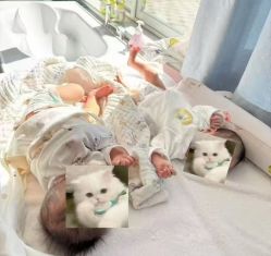 -森宝月子中心(白云山店)