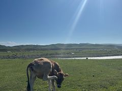 -新疆那拉提国家旅游度假区