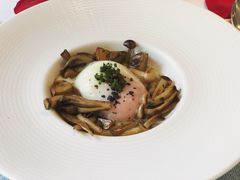 -蝶舍·MAISON PAPILLON