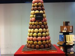 -戴高乐机场免税店(BuY PARIS DUTY FREE)