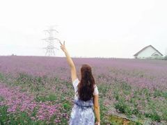 -紫颐香薰山谷景区