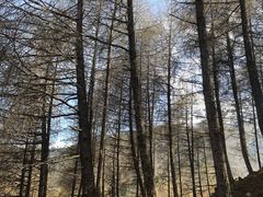 -硗碛藏寨·神木垒景区