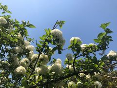 -白塘生态植物园