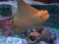 -沈阳海洋探索中心