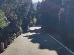 -浮来山风景区