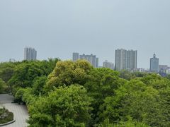 -沙市市中山公园