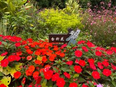 -庐山风景区花径公园