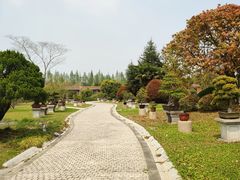 -上海海湾国家森林公园