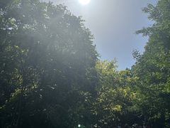 -老君山