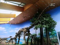 -延庆地质公园博物馆