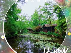 -桂林古东瀑布景区