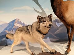 -陕西自然博物馆