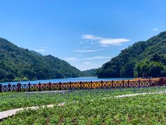 -广州市石门国家森林公园