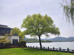 -杭州西湖柳莺里酒店·闻莺厅