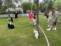 -TIPPI营地 房车主题·露营烧烤团建轰趴(天安假日店)