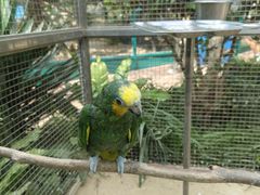 -大连森林动物园