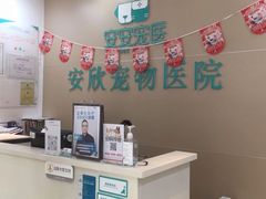 -安安宠医安欣宠物医院