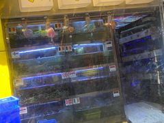 -桥东喜碧海鲜街(水东街店)