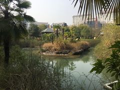 -咸宁万豪温泉谷度假区