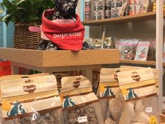 -宠物梦想家(日月豪庭店)