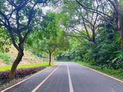 -鼎湖山风景区
