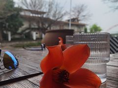 -喜洲吧·江畔老船厂·庭院餐厅(喜临院店)