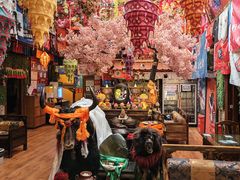 -吉祥圣雪藏餐