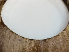 -椰爺爺·椰子冻砵仔糕