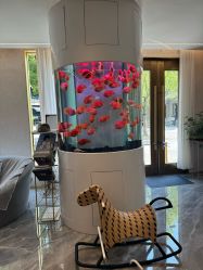 -新蝶变皮肤管理中心