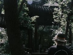 -上海佘山国家森林公园天马山园