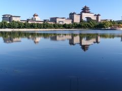 -莲花池公园