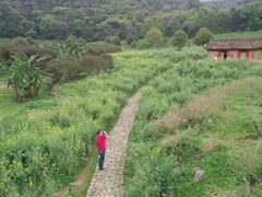 -广州市石门国家森林公园