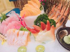 -一本钓鲔鱼屋