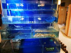 水产区-虎焱炭火烧肉