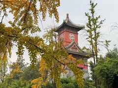 -四川大学(华西校区)