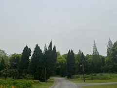 -上海滨江森林公园