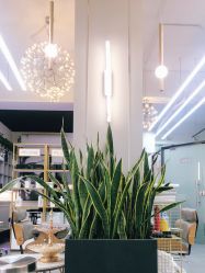 -FUTURE HN男士发型风格设计