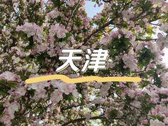 -天津五大道文化旅游区