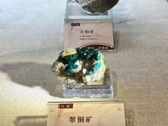 -安徽省地质博物馆