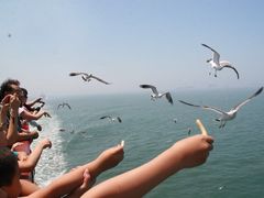 -仁川港国际客运码头